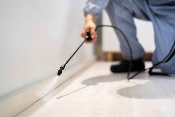 Licensed Pest Control service in Woodville, TX - Show Me Pest Control